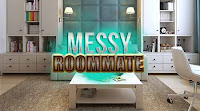 Hidden 247 Messy Roommate