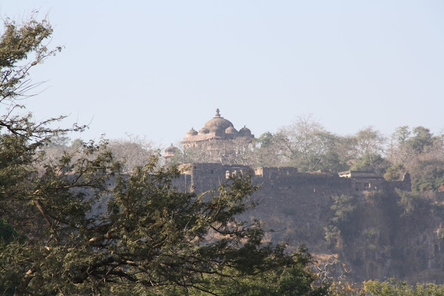 Ranthambore Tiger Reserve