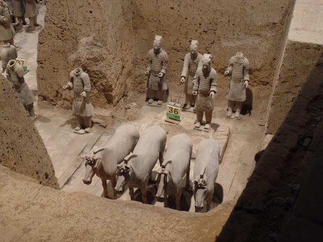 qin shi huang terracotta army warrior horse museum pit 3