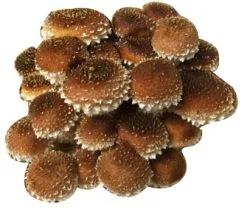 Are Chestnut Mushrooms High In Vitamin D?
