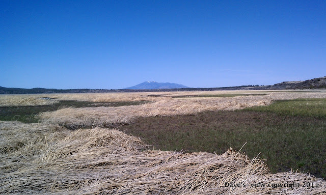 Mormon Lake, Northern Arizona Drought, Low Water