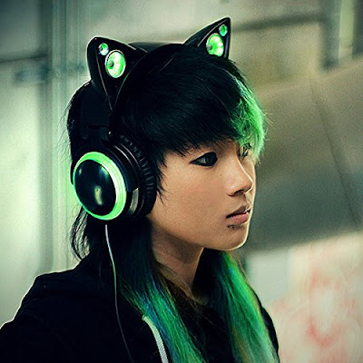 The Cat Ears Headphones