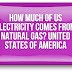  How Much of US Electricity Comes From Natural Gas? united states of America