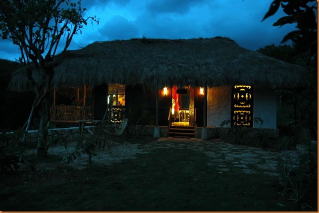eco9
