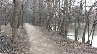 Bleak, Winter Colours,River Tundzha, Yambol City Park, Yambol,