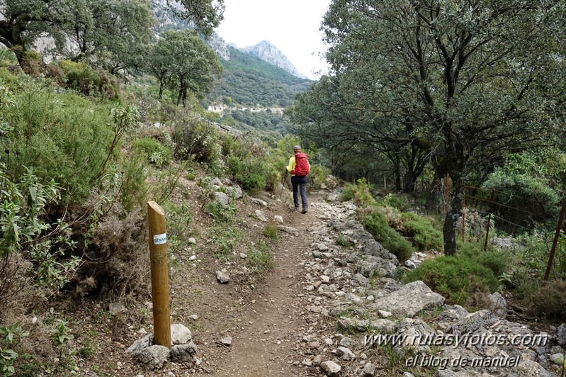 Sendero El Bosque - Benamahoma - Grazalema