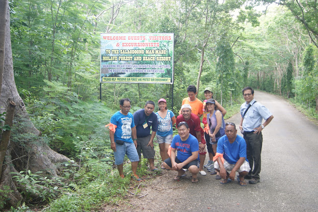 Salagdoong man-made mahogany forest in Maria Siquijor Philippines