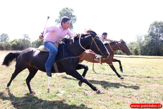 San Pablo Carreras a la Chilena