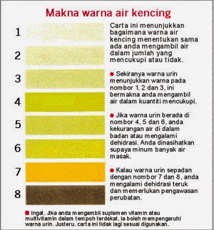  Makna Warna  Air Kencing Menentukan Tahap Kesihatan mynews