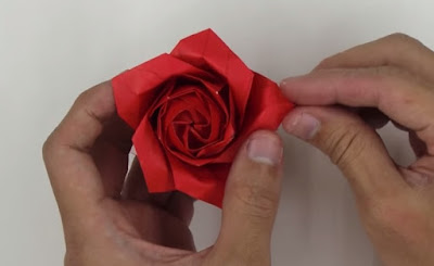 gấp giấy origami hoa hồng