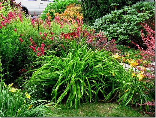 garden-front-bed