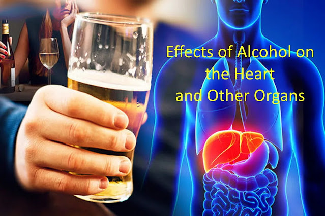 Effects of Alcohol on the Heart and Other Organs