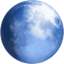 palemoon