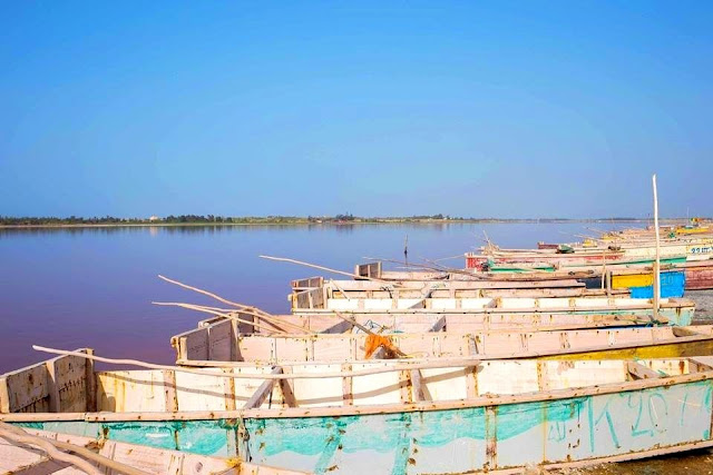 lago rosa senegal