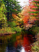 rios y paisajes naturales hd (autumn river rio en oto )