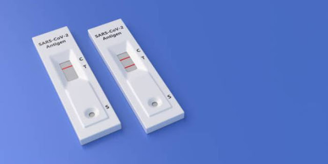 negative covid test results template