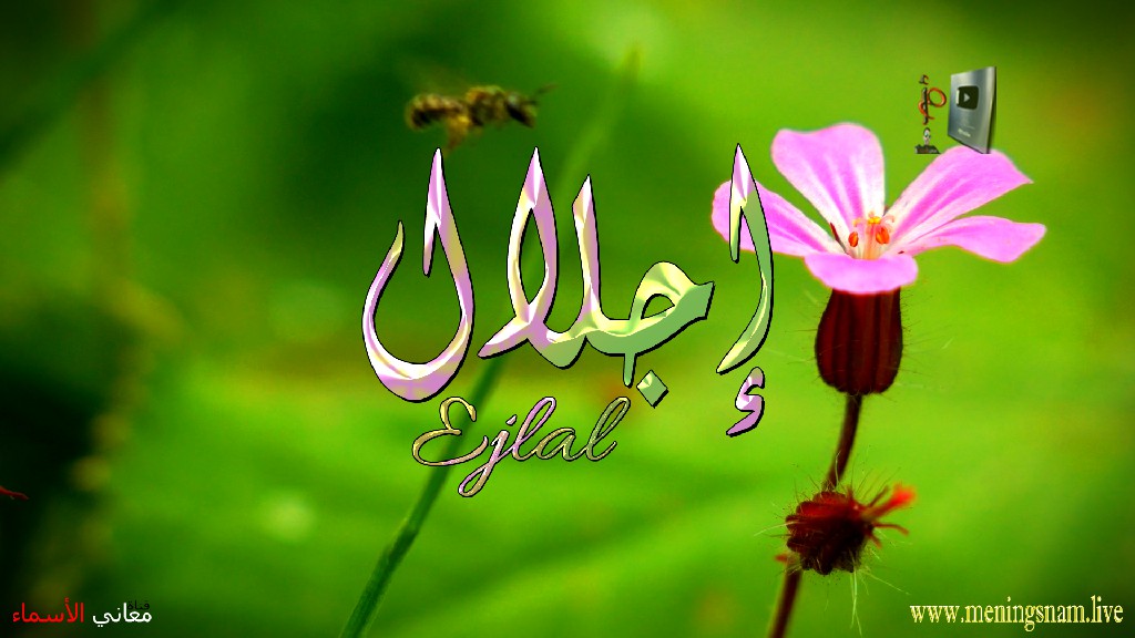 معنى اسم, إجلال, وصفات, حاملة, وحامل, هذا الاسم, Ejlal,