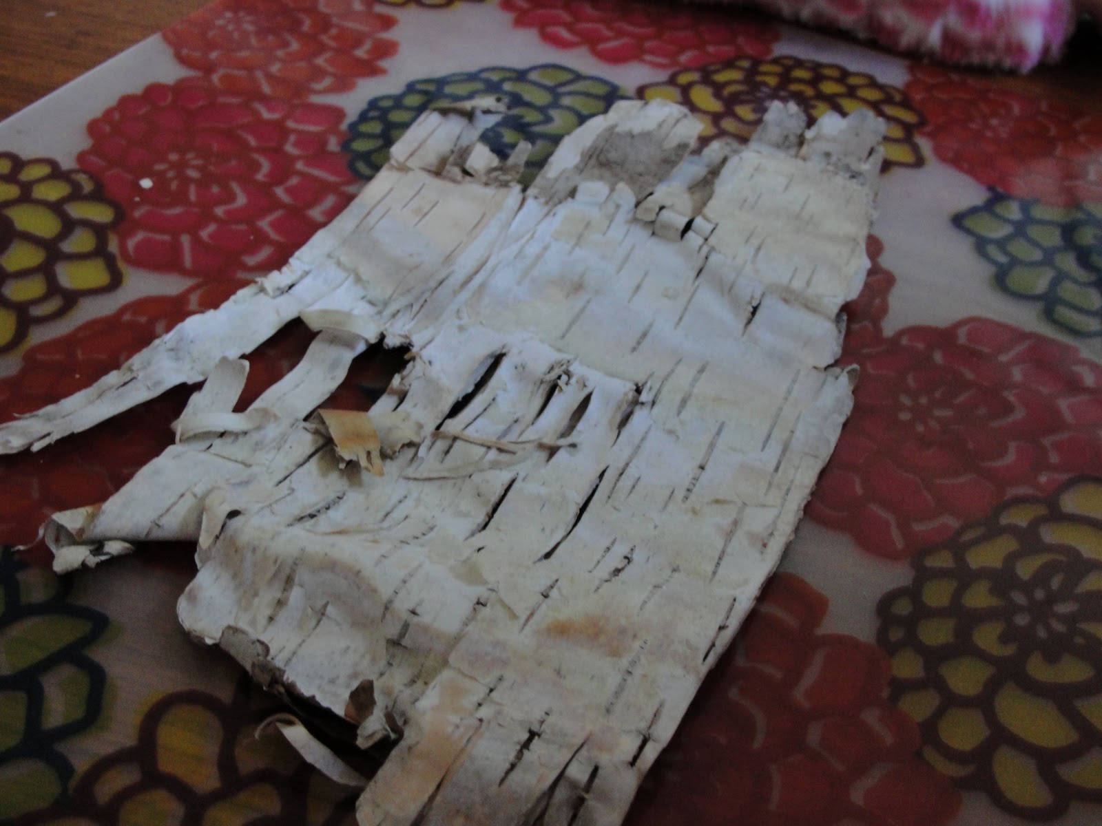 Birchbark paper craft