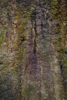 A photo of the multicoloured ooze on the damp tunnel walls.  Photograph by Kevin Nosferatu for the Skulferatu Project.