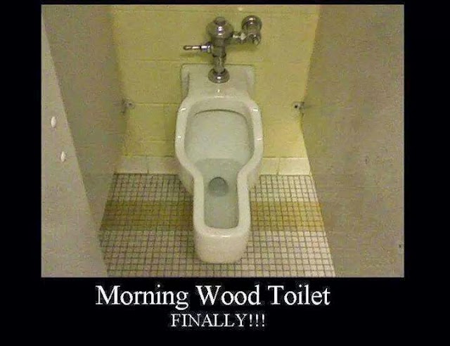 Morning Wood Toilet