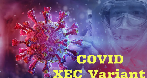 COVID XEC Variant: Everything You Need to Know About the Latest COVID-19 Threat