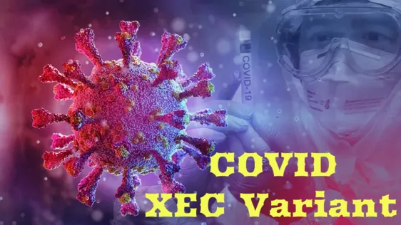 COVID XEC Variant