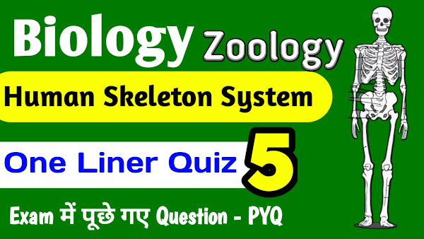 मानव कंकाल तंत्र One Liner Questions Complete