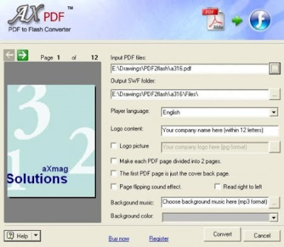 aXmag PDF to Flash Converter 2.43