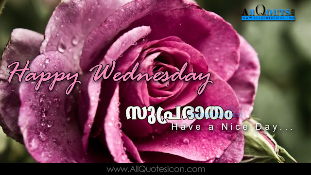 Malayalam-good-morning-quotes-wshes-for-Whatsapp-Life-Facebook-Images-Inspirational-Thoughts-Sayings-greetings-wallpapers-pictures-images