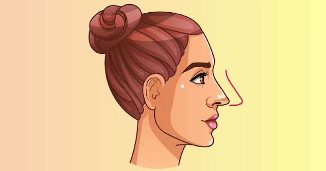 Shape Of Your Nose 