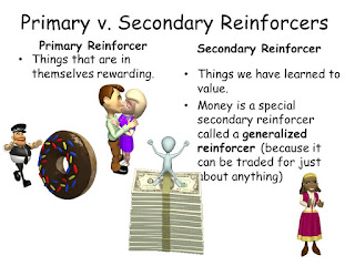 Primary Reinforcer and Generalized Reinforce