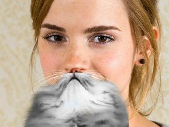 Emma Watson and her cat