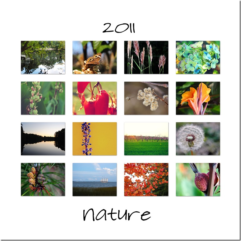 2011-nature