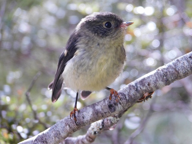 DSCN3588