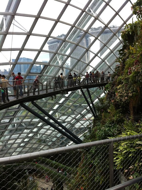 gardens by the bay cloud forest walk