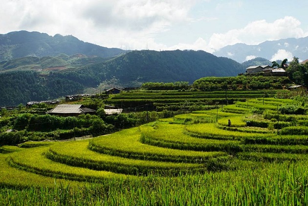 Bản Tả Phìn Sapa 