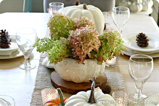 fall hydrangeas