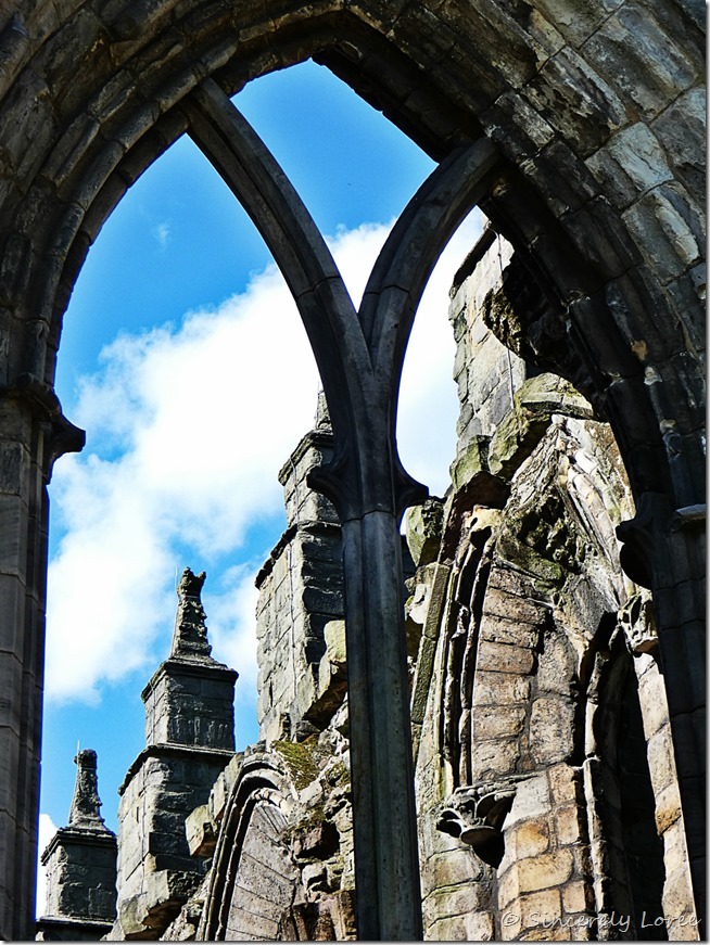 Holyrood Palace Gardens 8