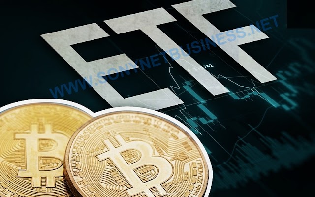 Millionaire wallets for Bitcoin grow as the market awaits ETF Approval