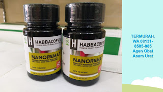 TERMANJUR, WA 08131-8585-085 Jual Obat Asam Urat: TERBAGUS, WA 08131