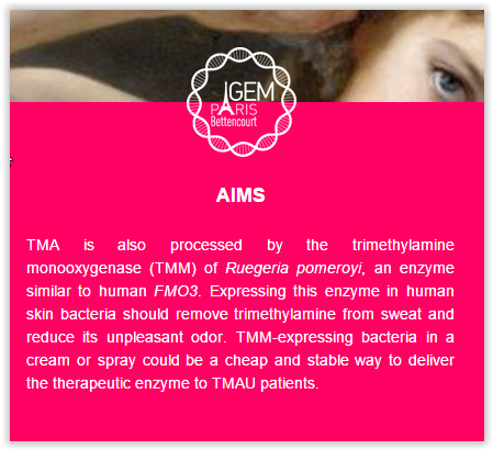 IGEM 2014 trimethylaminuria project