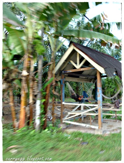 kampung14