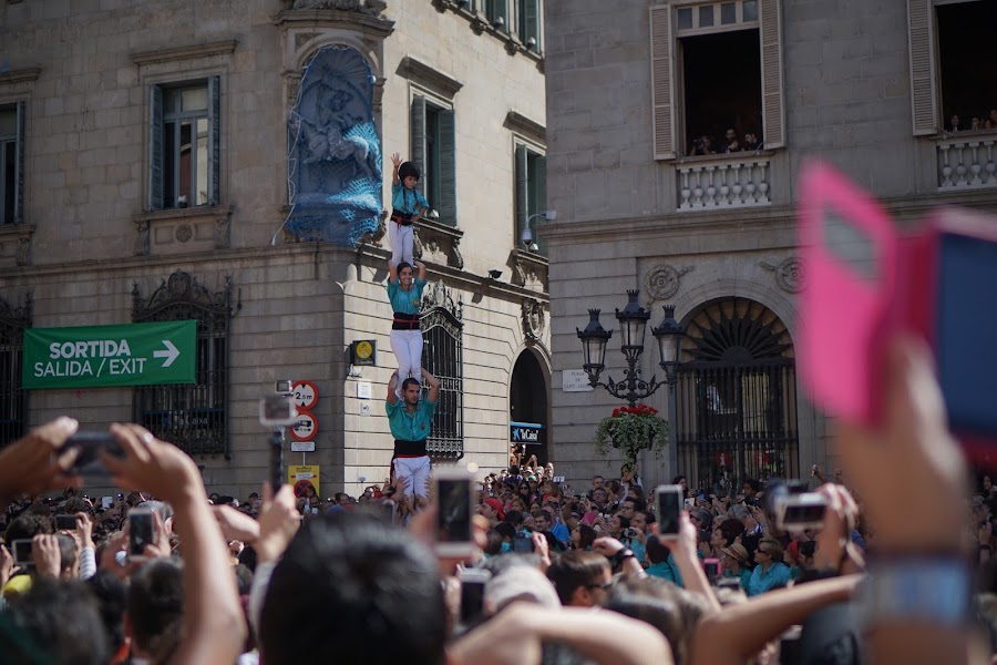 メルセ祭　人間の塔（Diada castellera de les colles locals）