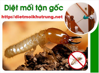 Diệt mối tận gốc bằng phương pháp lây truyền