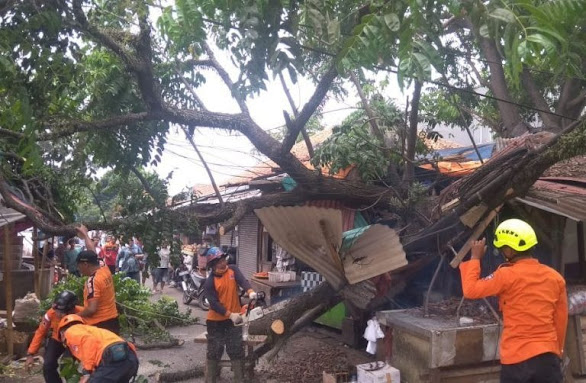 Pohon Tumbang Timpa Rumah Warga di Kelurahan Rawabunga, 6 KK Mengungsi