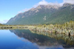 N - Milford Sound (88)