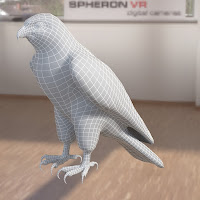 3D model falcon bird basic shape