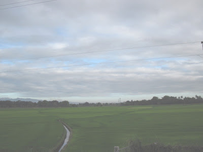 Pampanga Rice Farms