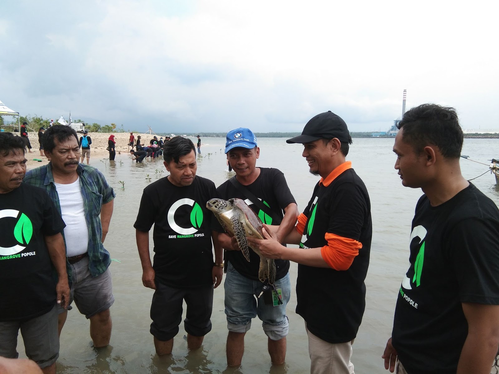 Lindungi dari Tsunami Pulau Popole Ditanami 500 Mangrove oleh PLTU