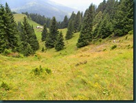 DSCN0155